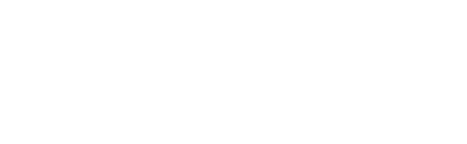 Logo Now White